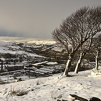 Buy canvas prints of Windswept trees on the moors by Sharon Cain