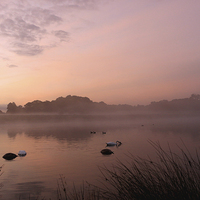 Buy canvas prints of  Misty Dawn by Louise Lord