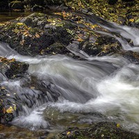 Buy canvas prints of  Autumn Falls by John Wilcox