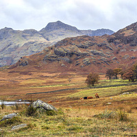 Buy canvas prints of  Autumn in the Lakes by John Wilcox