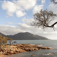 Buy canvas prints of Coles Bay Tasmania Australia by Richard Wareham