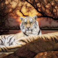 Buy canvas prints of Green eyed Tiger by peter wyatt