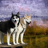 Buy canvas prints of Archie and Tilley by peter wyatt