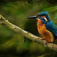 Buy canvas prints of The Kingfisher by peter wyatt