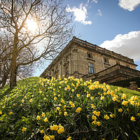 Buy canvas prints of Nottingham Castle in the Sun by David Siggers