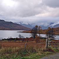 Buy canvas prints of Loch Arklet by Kevin Askew
