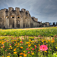 Buy canvas prints of Tower of London Superbloom  by David Hall