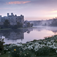 Buy canvas prints of  Leeds Castle at Dawn by David Hall