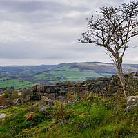 Buy canvas prints of Lone tree in the Peak District by David Hall