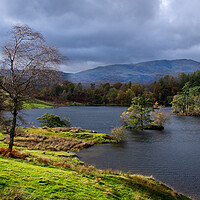 Buy canvas prints of Moody Tarn Hows. by David Hall
