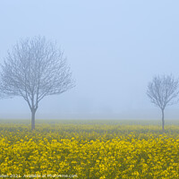 Buy canvas prints of Rapeseed Pair Norfolk by Rick Bowden