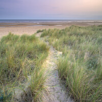Buy canvas prints of Holme Dune Path by Rick Bowden