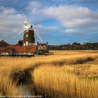 Buy canvas prints of Basking in the Euphoria of the Coastal Countryside by Rick Bowden