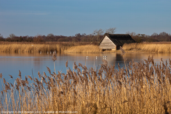 Boat House in the Reeds Picture Board by Rick Bowden