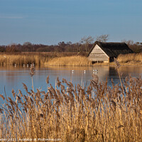 Buy canvas prints of Boat House in the Reeds by Rick Bowden
