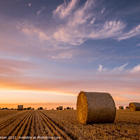 Buy canvas prints of Golden Harvest by Rick Bowden