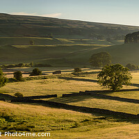 Buy canvas prints of Wensleydale Light by Rick Bowden