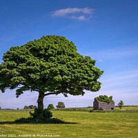 Buy canvas prints of Peak District Tree by Rick Bowden