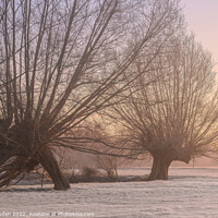 Buy canvas prints of Stour Valley Morning by Rick Bowden