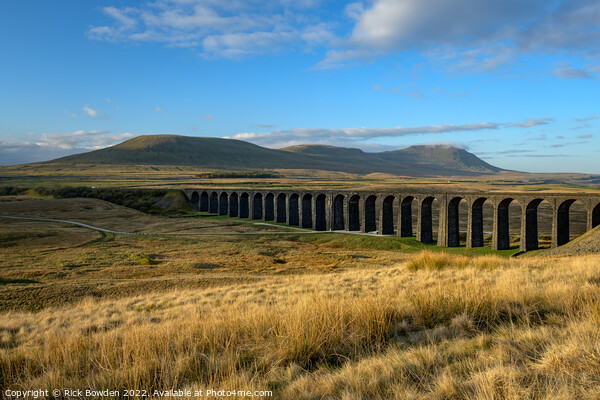 Ribblehead Viaduct Yorkshire Dales Picture Board by Rick Bowden