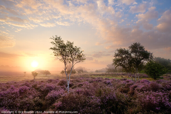 Enchanting Misty Sunrise Picture Board by Rick Bowden