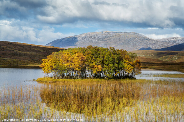 Loch Awe Tree Island Picture Board by Rick Bowden