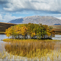 Buy canvas prints of Loch Awe Tree Island by Rick Bowden