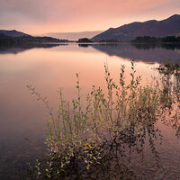 Buy canvas prints of Calm Derwent Water by Rick Bowden