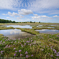 Buy canvas prints of Enchanting Sea Lavender Pools by Rick Bowden