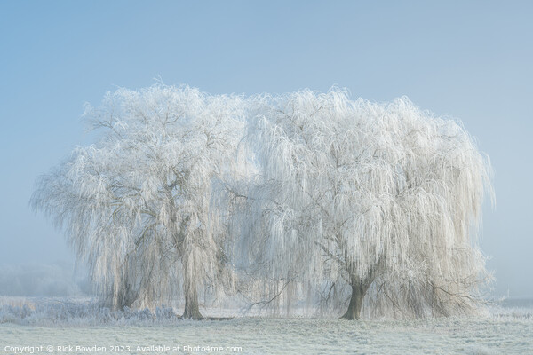 Wensum Winter Wonderland Picture Board by Rick Bowden