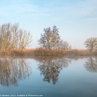 Buy canvas prints of Broadland Trees by Rick Bowden