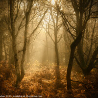 Buy canvas prints of Woodland Warmth by Rick Bowden