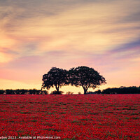 Buy canvas prints of Two Tree Poppy Field by Rick Bowden