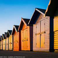 Buy canvas prints of Sun-Kissed Cromer Beach Huts by Rick Bowden