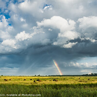 Buy canvas prints of Rainbow Over Broadland by Rick Bowden