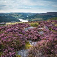 Buy canvas prints of Summer's Glory on Bamford Edge by Rick Bowden