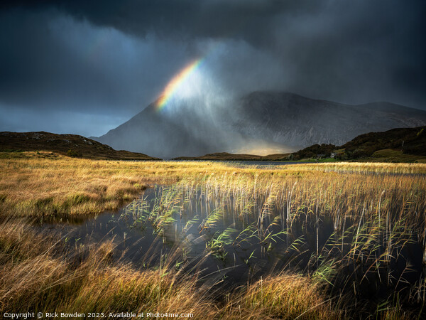 Arkle Light (LPOTY Highly Commended 2023) Picture Board by Rick Bowden