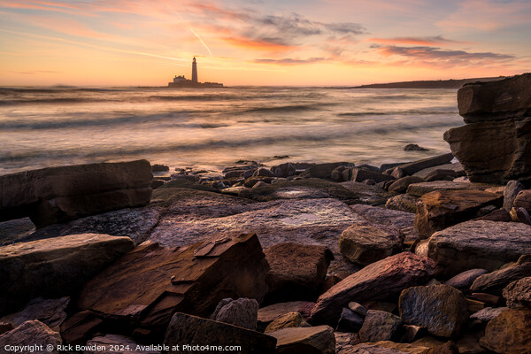 St Mary's Lighthouse Sunrise Picture Board by Rick Bowden