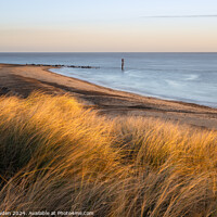 Buy canvas prints of Caister Dunes by Rick Bowden