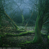 Buy canvas prints of Green Woods by Rick Bowden