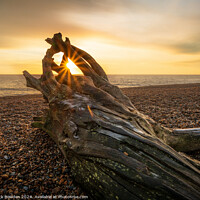 Buy canvas prints of Aldeburgh DriftWood by Rick Bowden