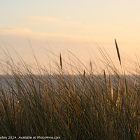 Buy canvas prints of Caister Grasses. by Rick Bowden