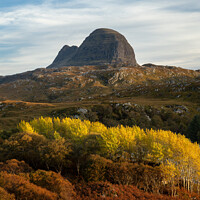 Buy canvas prints of Suilven in Autumn by Rick Bowden
