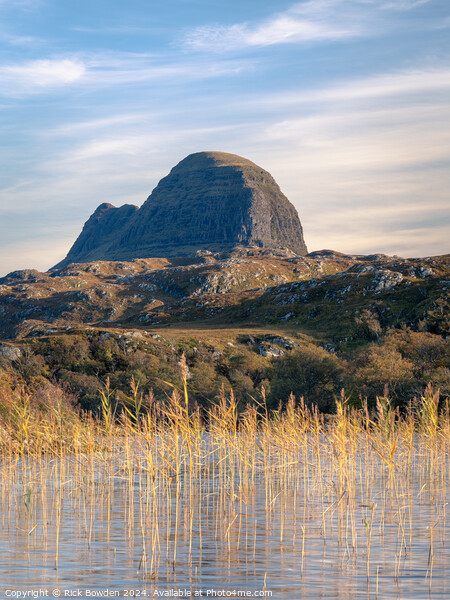 Suilven Reeds Picture Board by Rick Bowden