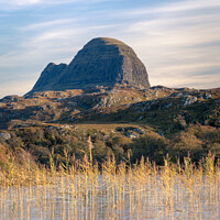 Buy canvas prints of Suilven Reeds by Rick Bowden