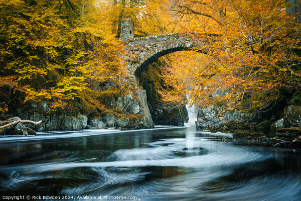 Autumn Flow at the Hermitage Picture Board by Rick Bowden