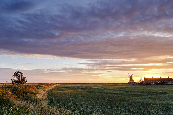Cley Summer Dawn Picture Board by Rick Bowden