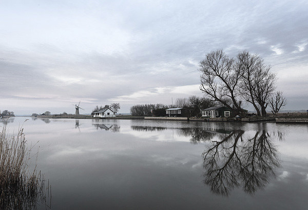 Reflections of Trees At Thurne Picture Board by Rick Bowden