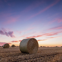 Buy canvas prints of Golden Harvest Fields by Rick Bowden