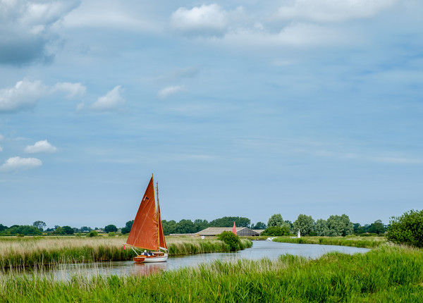 Tranquil Sailing on Thurne River Picture Board by Rick Bowden